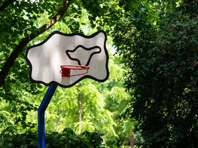 Image qui illustre: Street Art - Panier De Basket à Nancy - 2