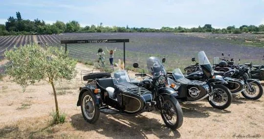 Image qui illustre: Excursion en side-car rétro dans les champs de lavande et les vignobles au départ d'Aix-en-Provence