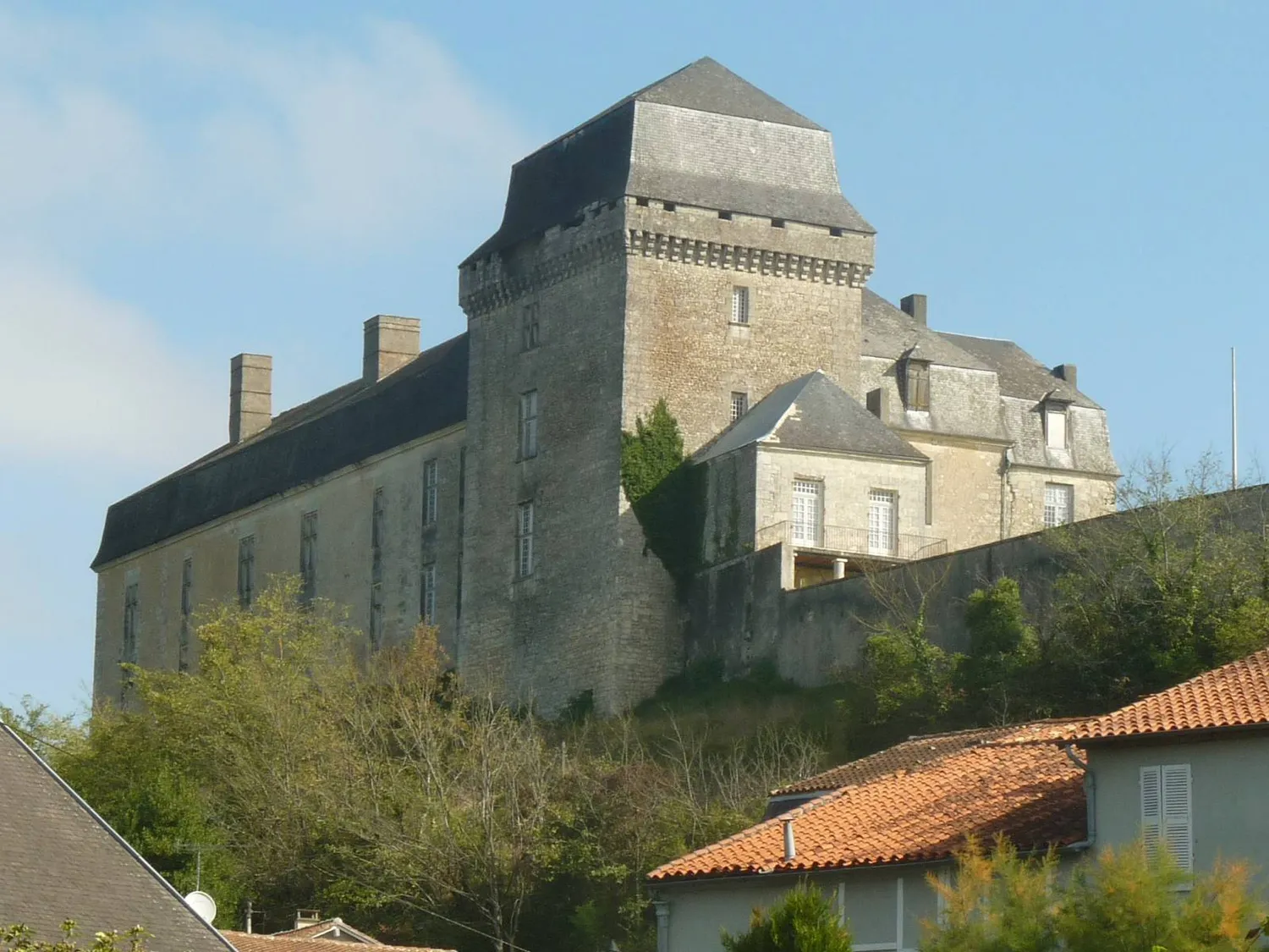 Image qui illustre: Château de Chalais à Chalais - 0