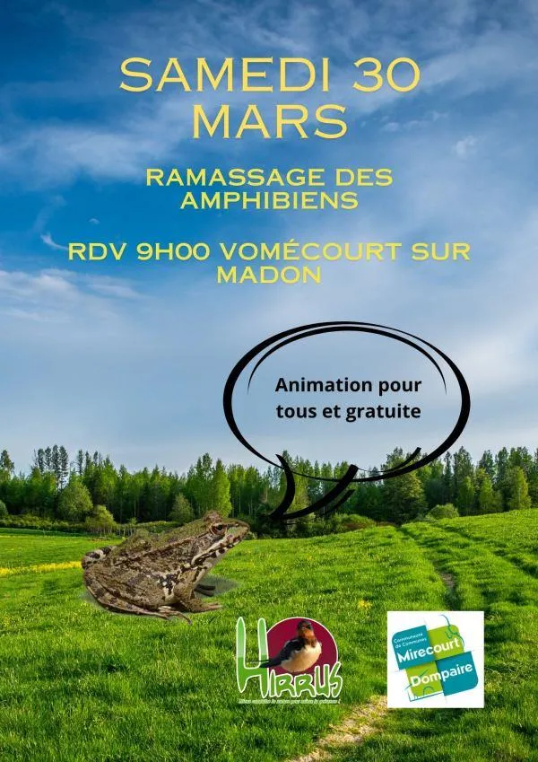 Image qui illustre: La Migration Des Amphibiens à Vomécourt-sur-Madon - 0