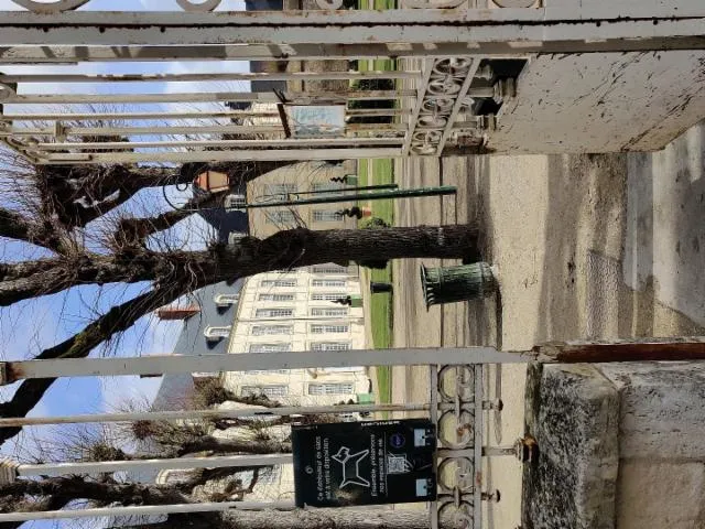 Image qui illustre: Jardin de l'évêché à Orléans