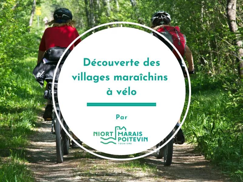Image qui illustre: Découverte des villages maraîchins à vélo à Coulon - 0