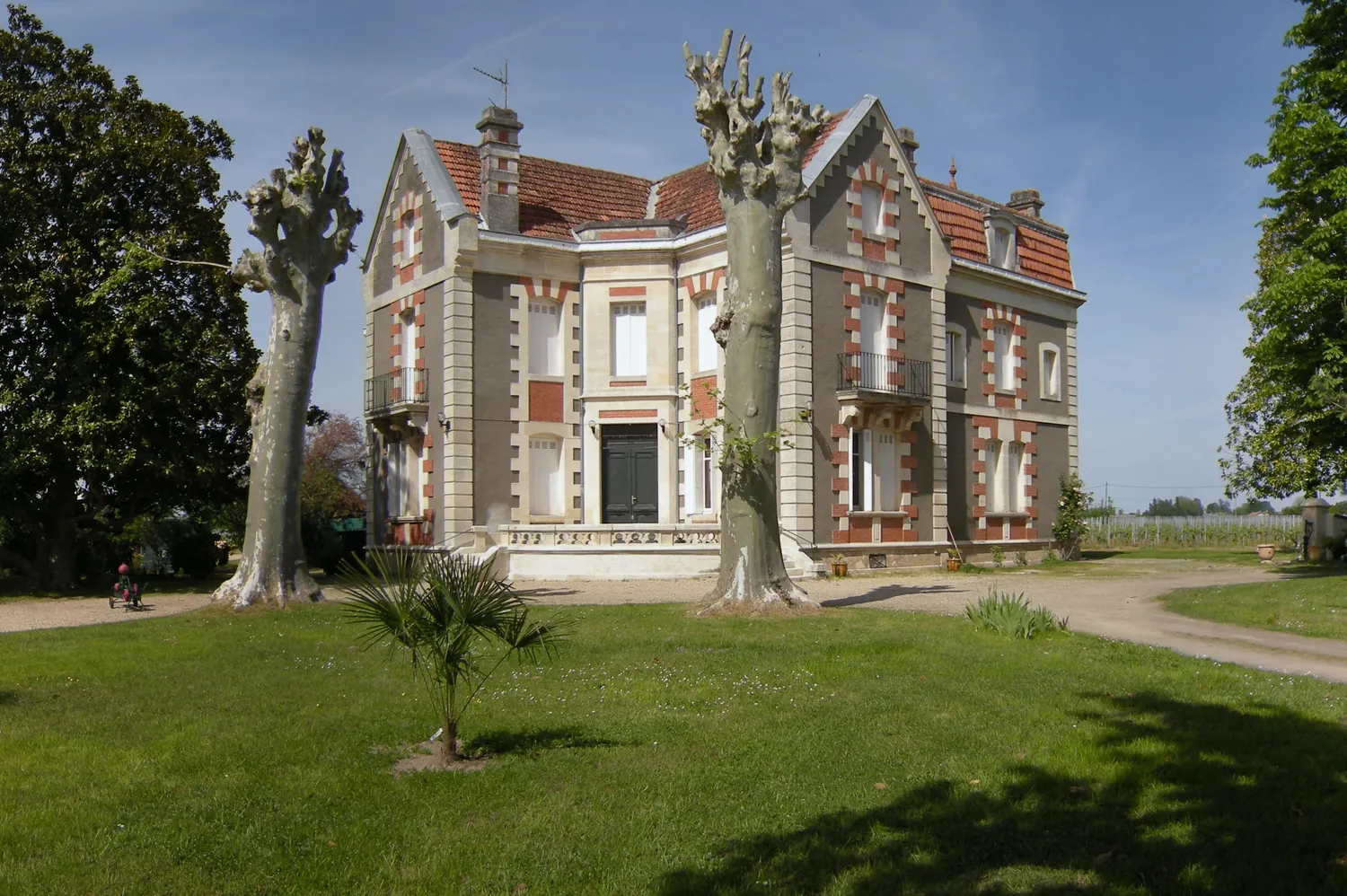 Image qui illustre: Château Cantenac à Saint-Émilion - 1