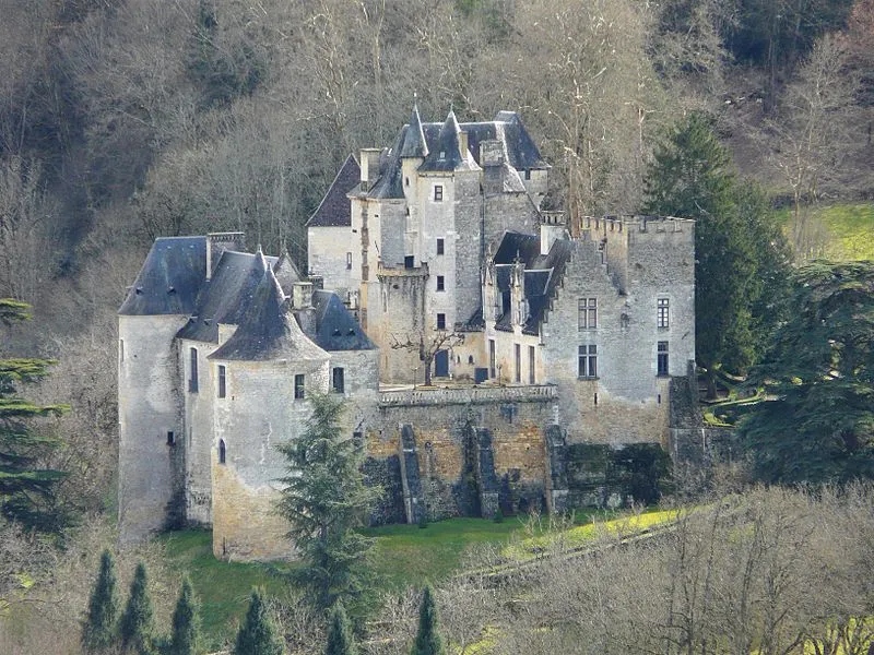 Image qui illustre: Château de Fayrac à Gratens - 0