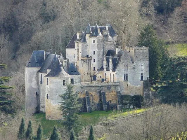 Image qui illustre: Château de Fayrac