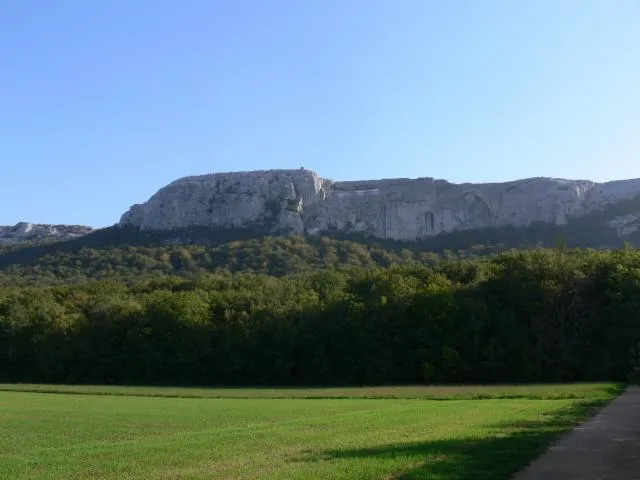 Image qui illustre: Parc naturel régional de la Sainte-Baume