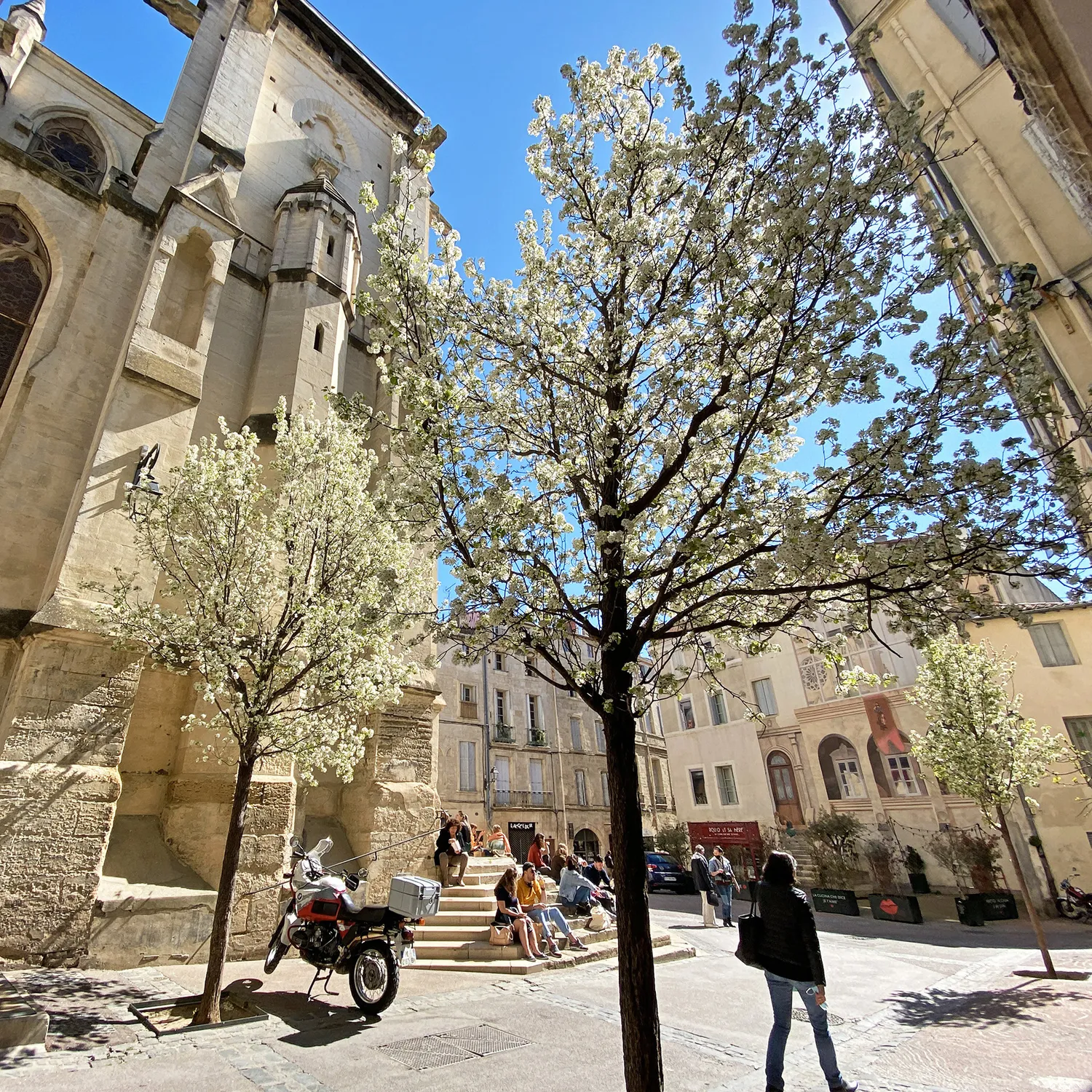 Image qui illustre: Place Et Eglise Saint Roch à Montpellier - 2