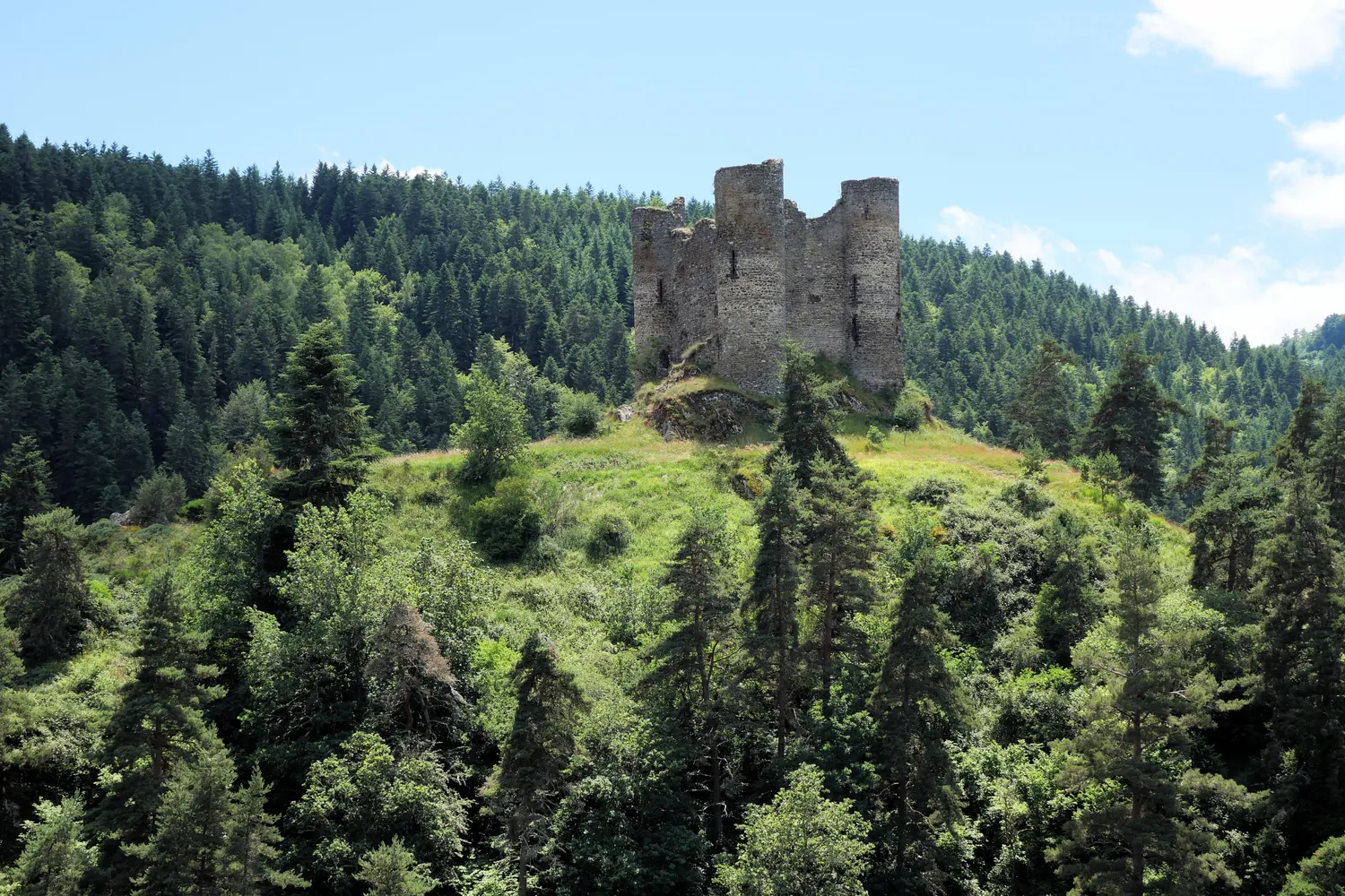 Image qui illustre: Site et château d'Alleuze à Alleuze - 0