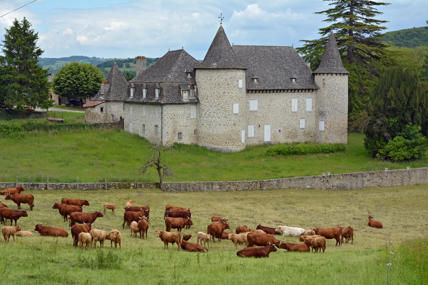 Image qui illustre: Château D'entraygues à Boisset - 0