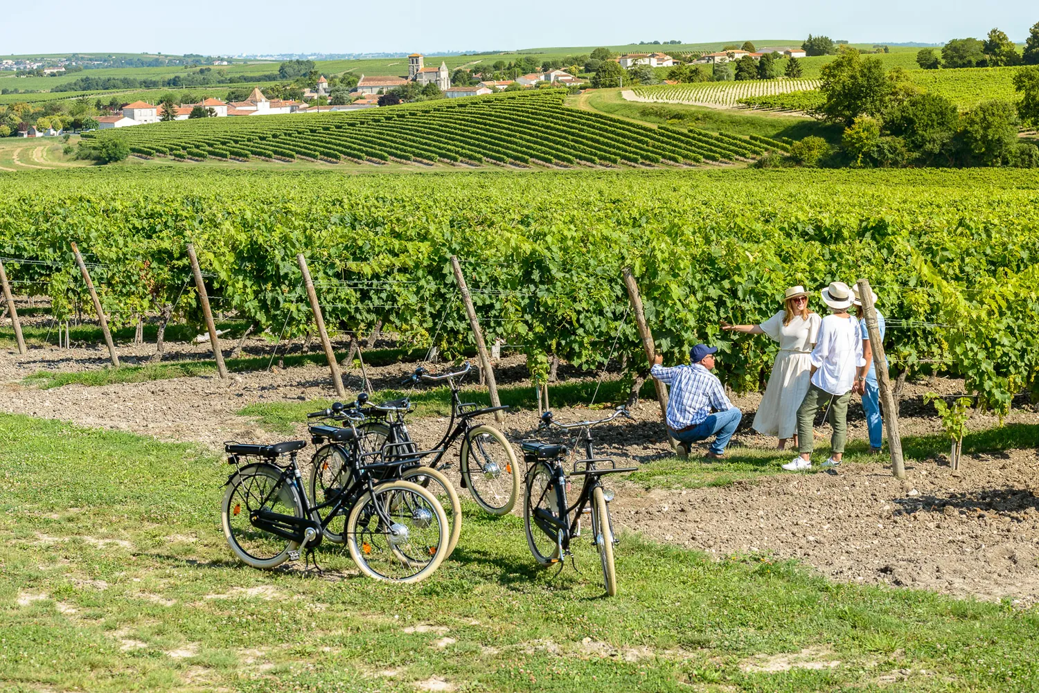 Image qui illustre: Parcours à vélo éléctrique au Château Vieille Tour à Laroque - 0