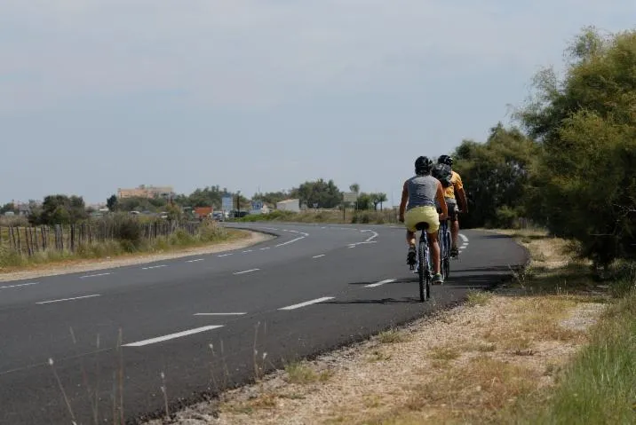 Image qui illustre: La Camargue À Vélo : 2 Dans L'intimité Des Roselières