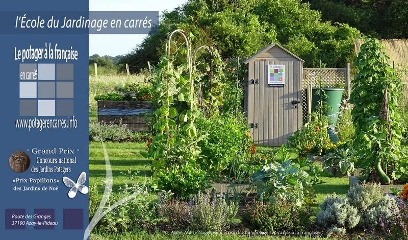 Image qui illustre: Le Potager En Carrés À La Française - École Du Jardinage En Carrés