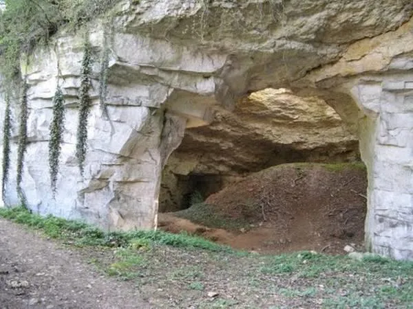 Image qui illustre: Grotte De La Falouse