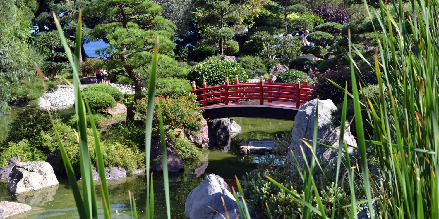 Image qui illustre: Jardin japonais de Monaco à  - 1