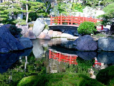 Image qui illustre: Jardin japonais de Monaco à  - 2