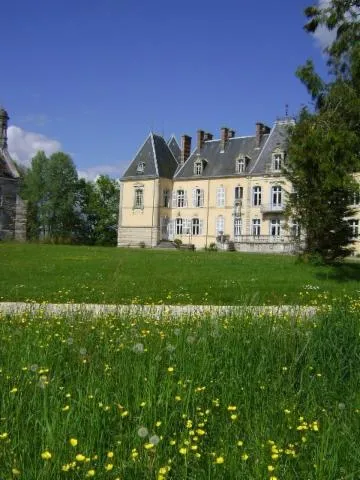 Image qui illustre: Château De Saint-loup Nantouard
