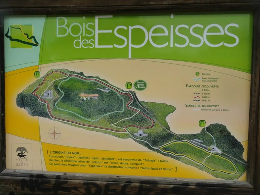 Image qui illustre: Le Bois des Espeisses à Nîmes - 1