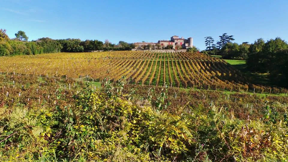 Image qui illustre: Route des vins n°9 Route des coteaux de Bordeaux à Latresne - 1