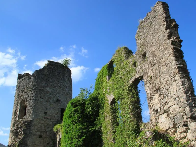 Image qui illustre: Ruines Du Château à Frauenberg - 1