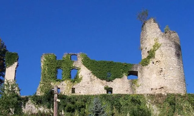 Image qui illustre: Ruines Du Château à Frauenberg - 0