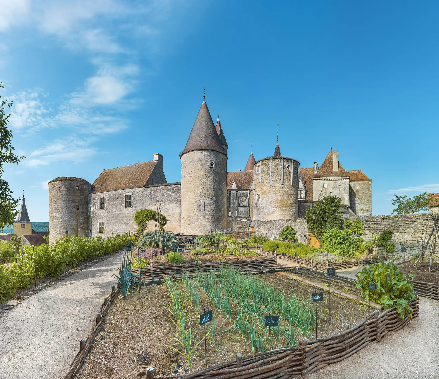 Image qui illustre: Visite des jardins paysagers : un nouvel écrin de verdure pour le château à Châteauneuf - 0