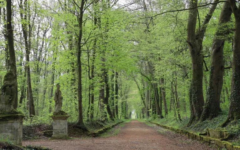 Image qui illustre: Visite- promenade du Parc historique et botanique d'Ognon