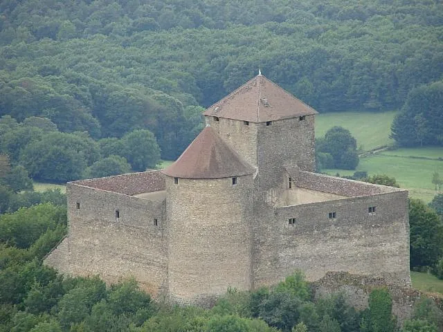 Image qui illustre: Château des Allymes