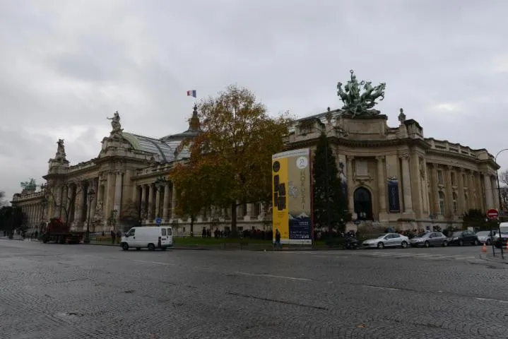 Image qui illustre: Galeries nationales du Grand Palais