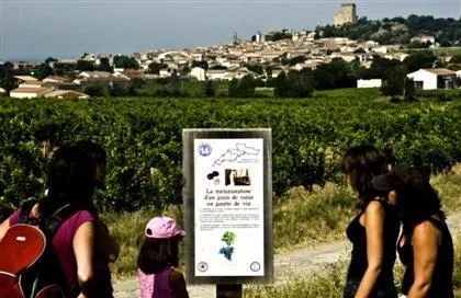 Image qui illustre: Escapade au coeur du vignoble de Châteauneuf-du-Pape