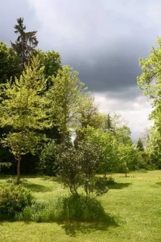 Image qui illustre: Visite commentée d'un jardin-arboretum en Périgord vert