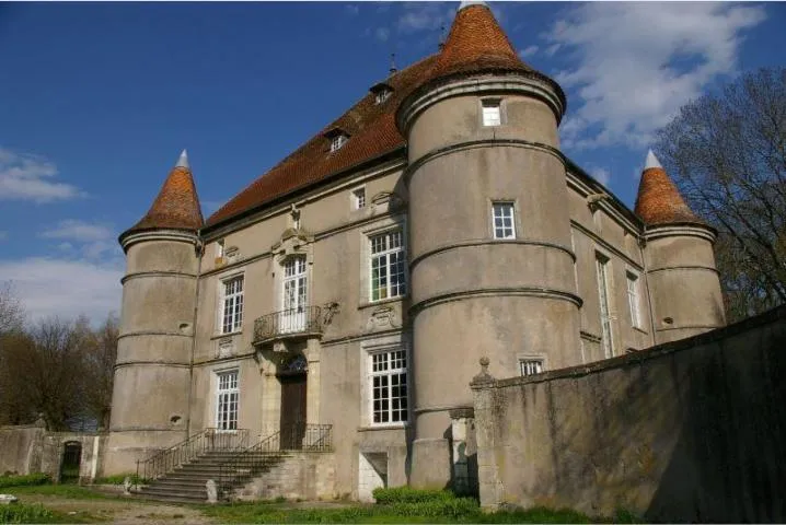 Image qui illustre: Château De Sandaucourt