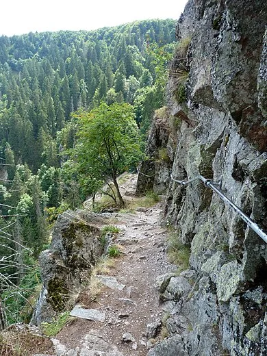 Image qui illustre: Le Sentier des Roches à Stosswihr - 0