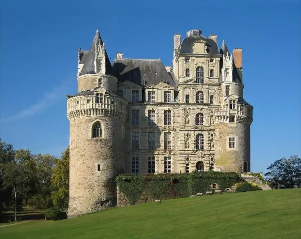 Image qui illustre: Château De Brissac