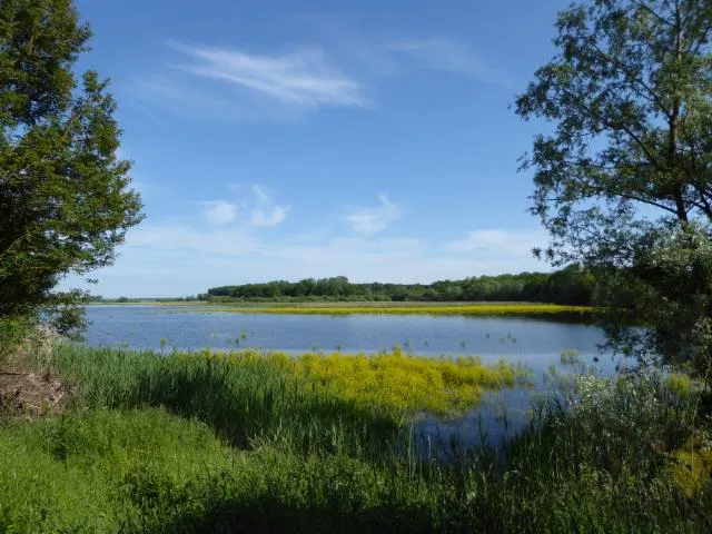 Image qui illustre: Réserve Naturelle Régionale De L'étang D'amel