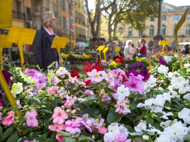 Image qui illustre: Le Marché Aux Fleurs D'aix-en-provence