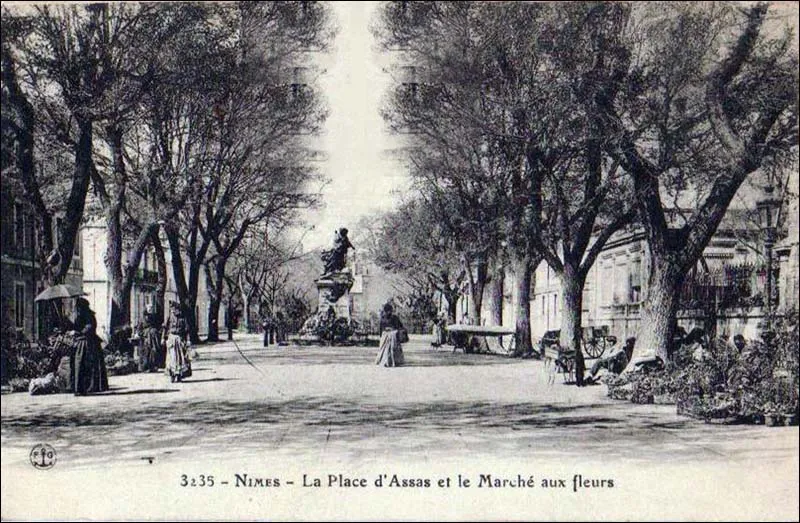 Image qui illustre: Place d'Assas à Nîmes - 2