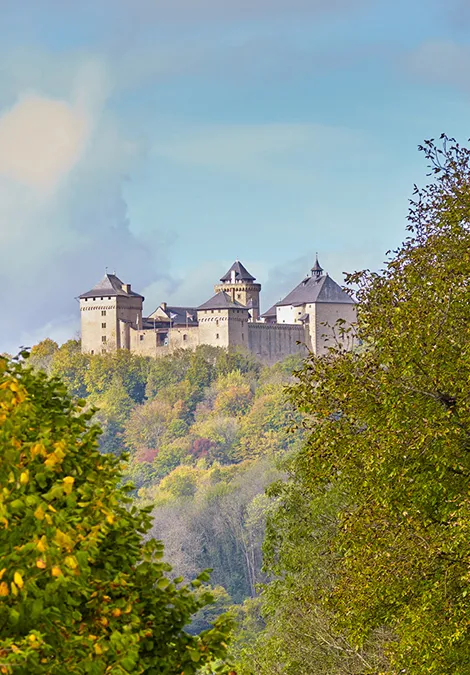 Image qui illustre: Château De Malbrouck à Manderen-Ritzing - 1