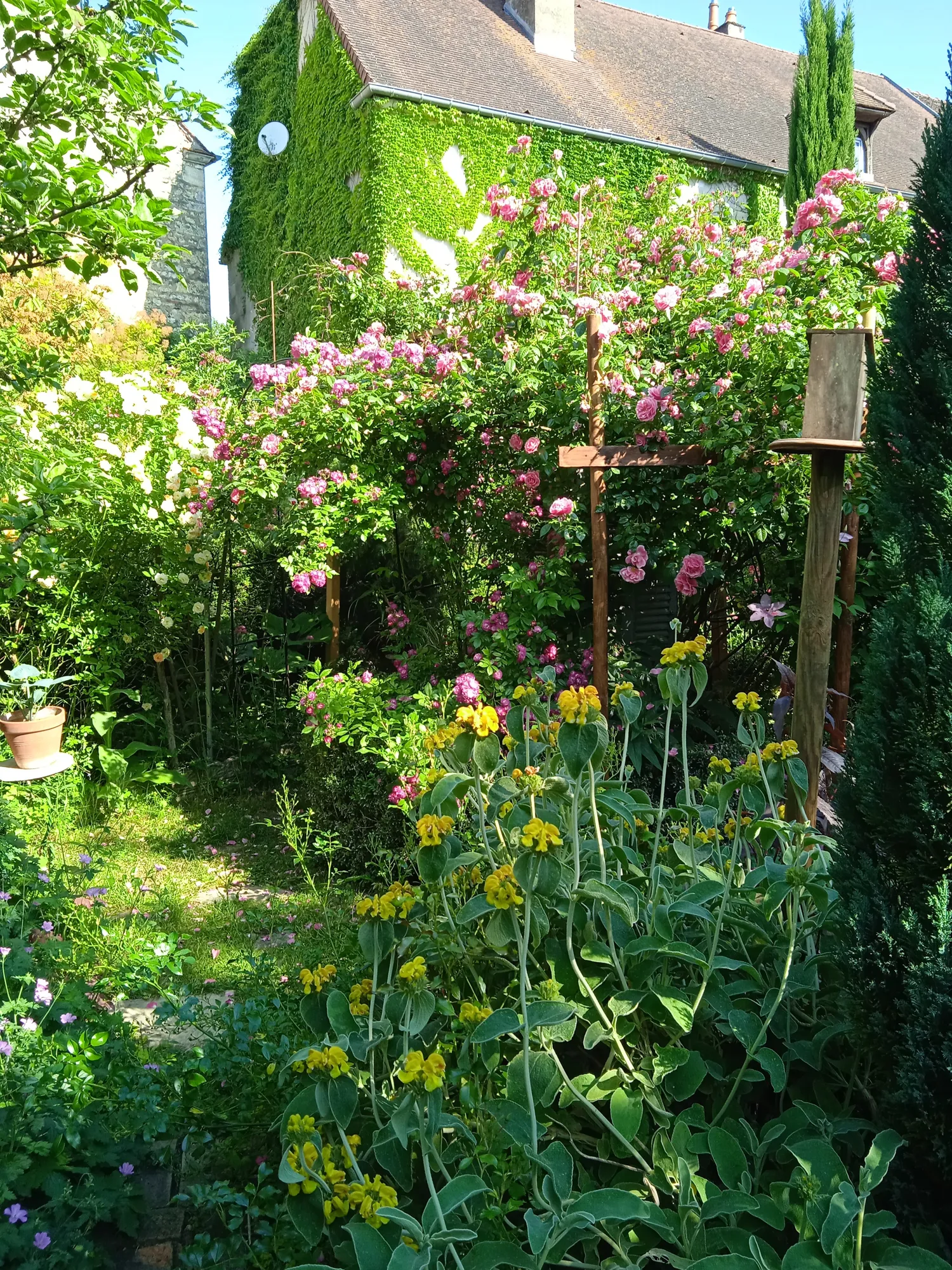 Image qui illustre: Venez découvrir le jardin du 7 à Mirebeau-sur-Bèze - 0
