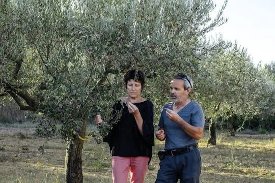Image qui illustre: Expérience d'une journée complète en matière d'huile d'olive et de vin aux Terrasses du Larzac