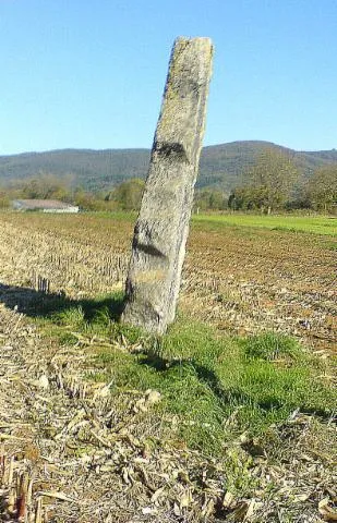 Image qui illustre: Menhir de pierre