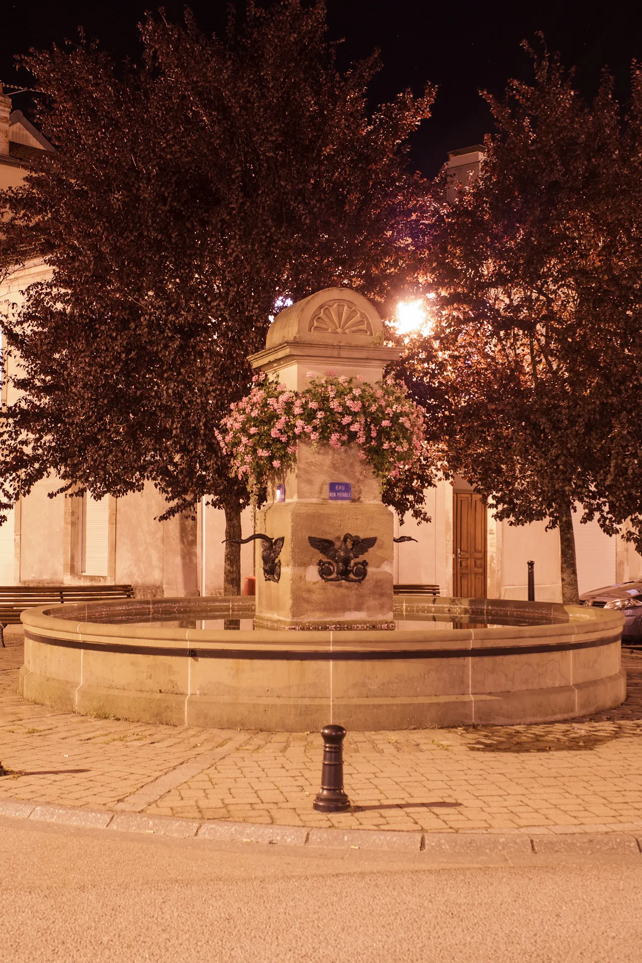 Image qui illustre: La Fontaine De La Rue Maucervelle à Remiremont - 0
