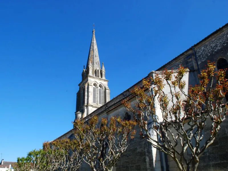 Image qui illustre: Eglise Notre Dame de l'Immaculée Conception à Grignols - 2