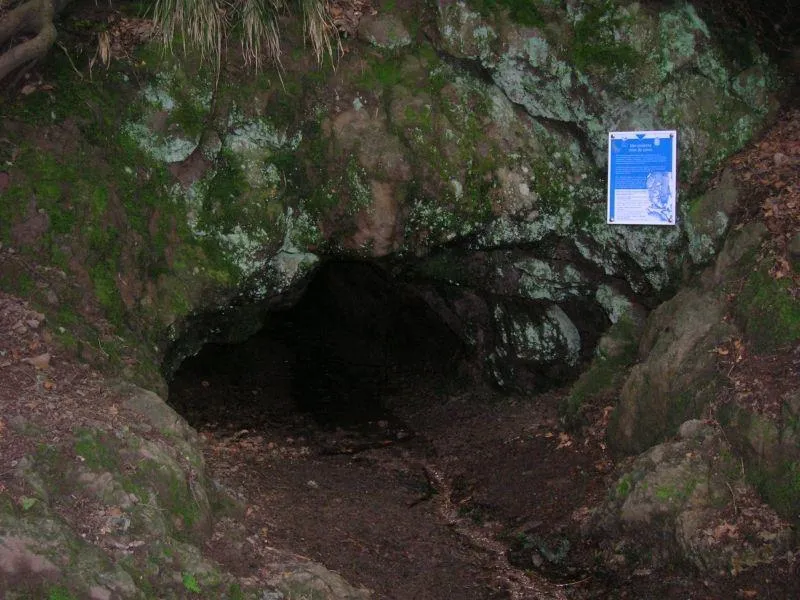 Image qui illustre: Ancienne Mine De Cuivre à La Bresse - 0