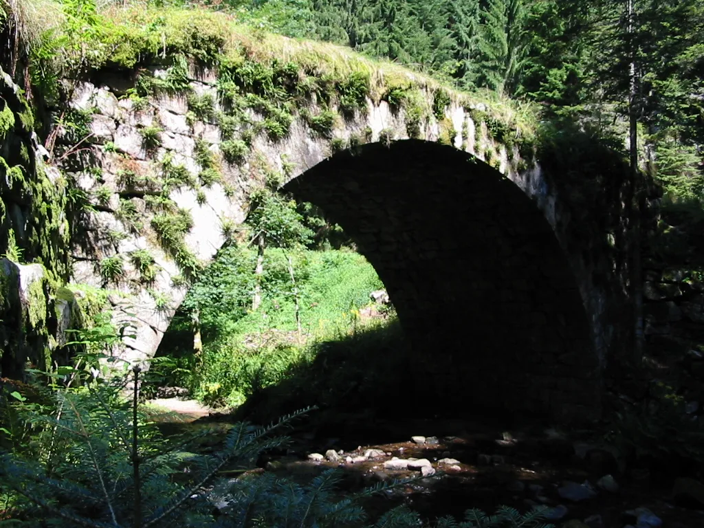 Image qui illustre: Le Pont Des Fées à Gérardmer - 2