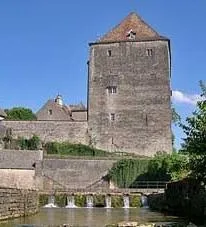 Image qui illustre: Château Musée De Fondremand