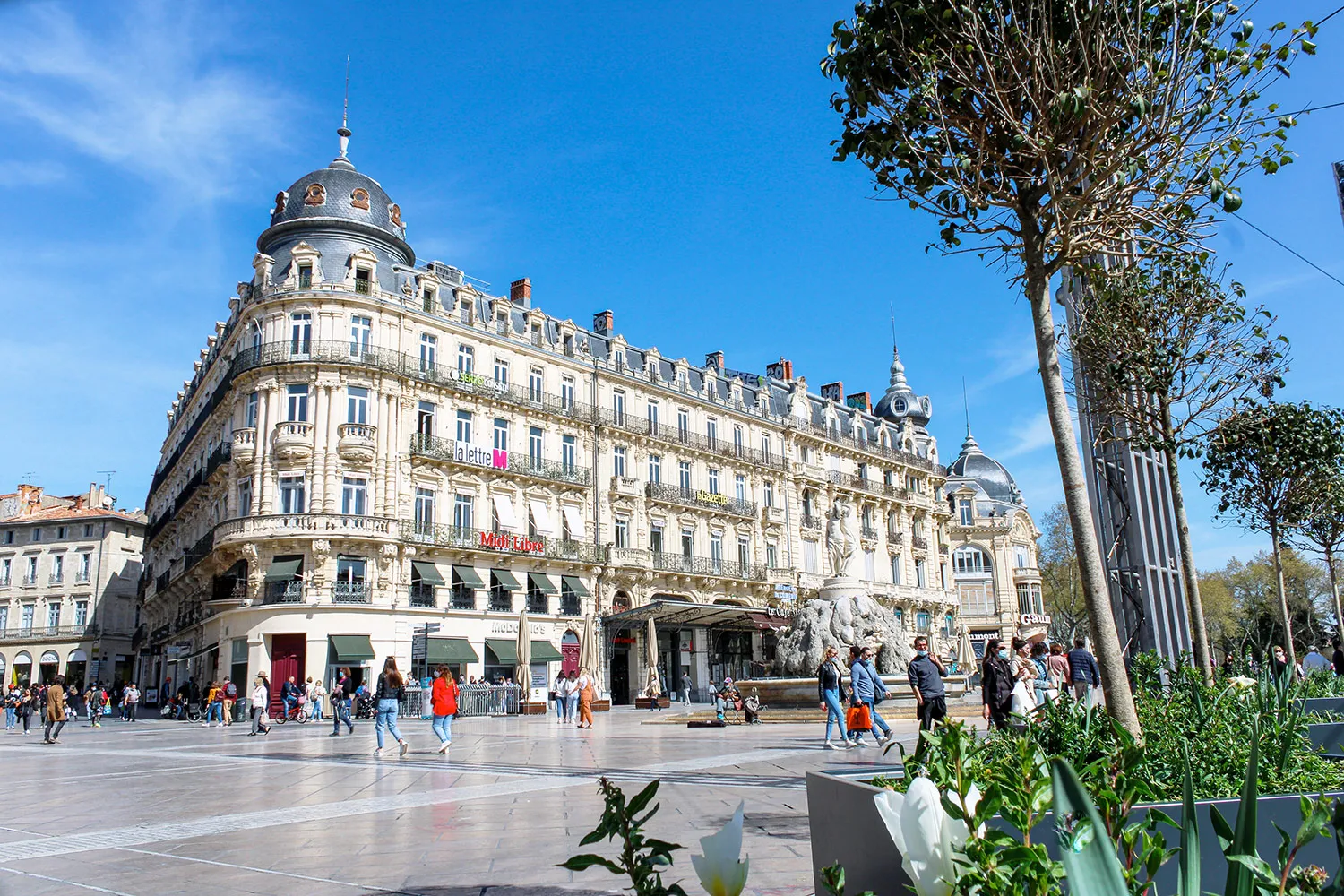 Image qui illustre: Place De La Comédie à Montpellier - 1
