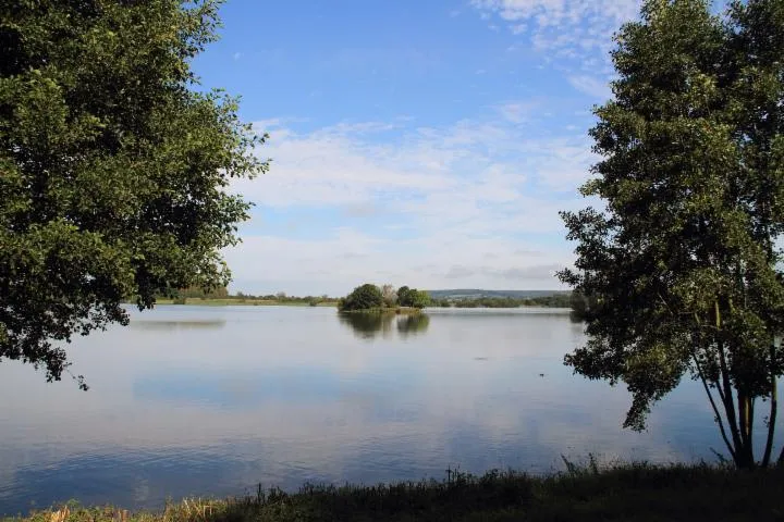 Image qui illustre: Lac de Pont-l'Évêque