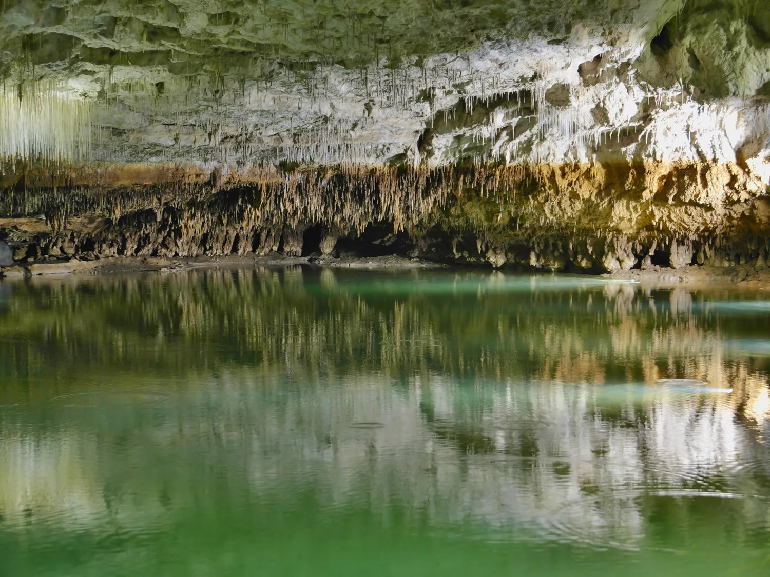 Image qui illustre: Grotte de Choranche à Choranche - 1