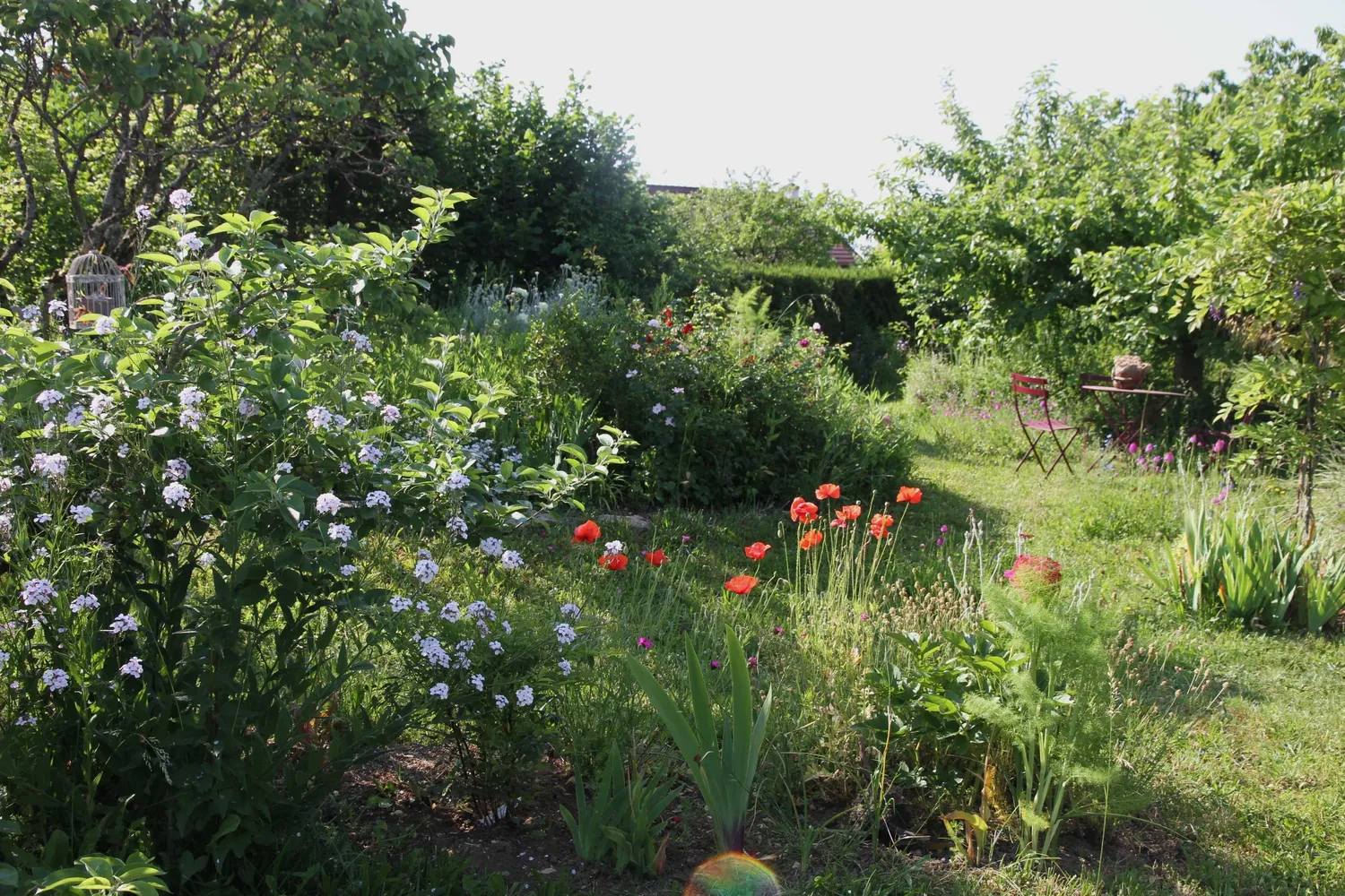 Image qui illustre: Visite du  jardin imparfait à Chevigny-Saint-Sauveur - 0