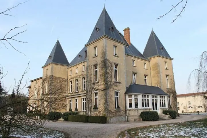 Image qui illustre: Restaurant Du Château D'adoménil